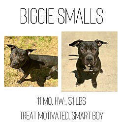 Thumbnail photo of Biggie Smalls #1