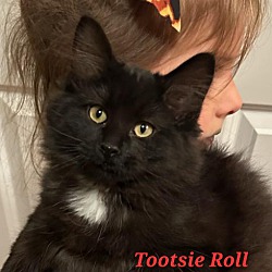 Photo of Tootsie "Roll"