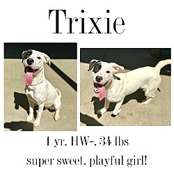 Photo of Trixie