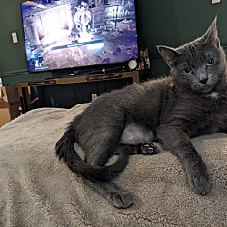 Photo of Luna