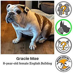 Thumbnail photo of Gracie Mae #1