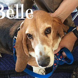Thumbnail photo of Belle and Delilah #1