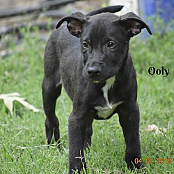 Thumbnail photo of Ooly ~ meet me! #3