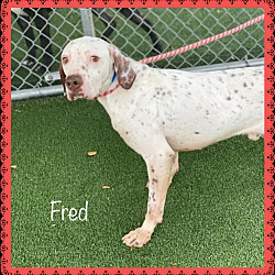 Thumbnail photo of FRED #2