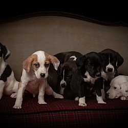 Thumbnail photo of Pearl Jam~adopted! #3