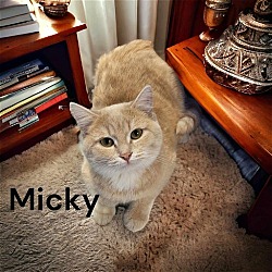 Photo of Mickey