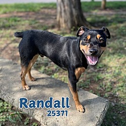 Thumbnail photo of Randall #1