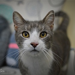 Thumbnail photo of Beaufort #4