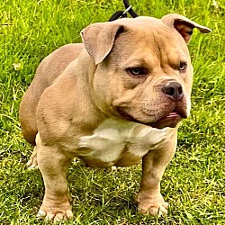 Photo of BRUNO!!!