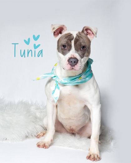 Thumbnail photo of Tunia - #2