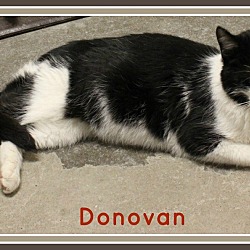 Thumbnail photo of Donovan #3