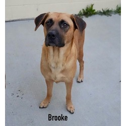 Thumbnail photo of Brooke #1