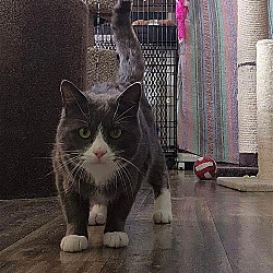 Photo of Marvin