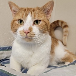 Photo of Twister