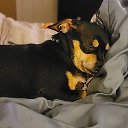 Photo of ROSCOE