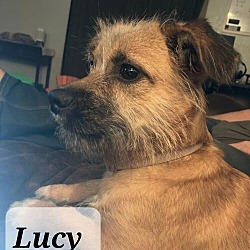 Photo of Lucy Lou
