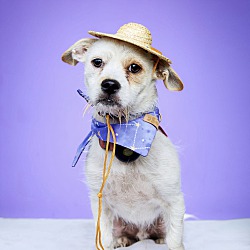 Photo of Coco