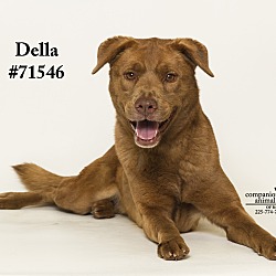 Thumbnail photo of Della #4