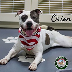 Photo of 24-03-0982 Orion