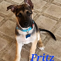 Photo of Fritz