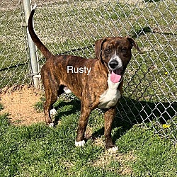 Thumbnail photo of Rusty #1