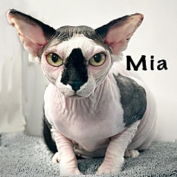 Photo of Mia