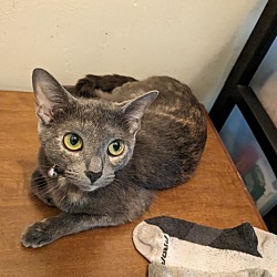 Photo of Blue