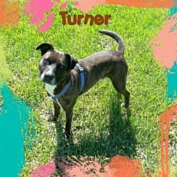 Thumbnail photo of Turner #3