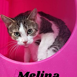 Thumbnail photo of Melina #2