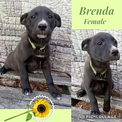 Photo of Brenda meet 4/26
