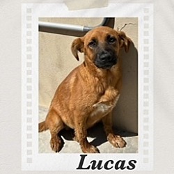 Photo of Luccas