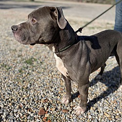 Thumbnail photo of TOBY #3