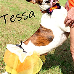 Thumbnail photo of Tessa ~ meet me! #4