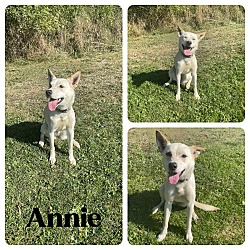 Thumbnail photo of Annie #1