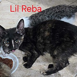 Photo of Lil Reba