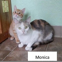 Photo of Monica