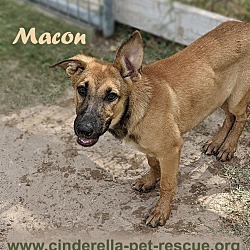 Photo of Macon