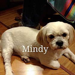 Photo of Mindy