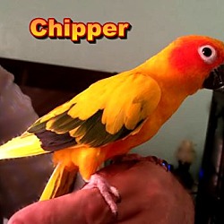 Thumbnail photo of Chipper and Val #2