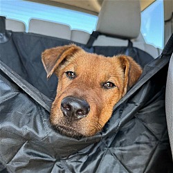 Photo of Charlie