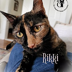 Photo of Rikki