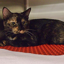 Thumbnail photo of Bobbie Sue-ADOPTED #2