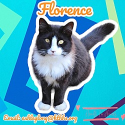 Thumbnail photo of Florence #2