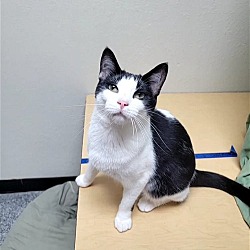 Photo of Spike