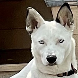 Thumbnail photo of Myla #4