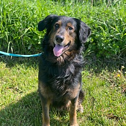 Photo of Chase
