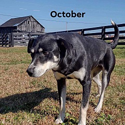 Photo of October