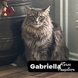 Photo of Gabriella