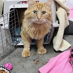Photo of Frankie