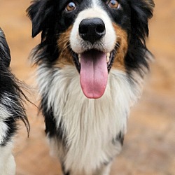 Aussie and best sale me